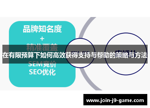 在有限预算下如何高效获得支持与帮助的策略与方法