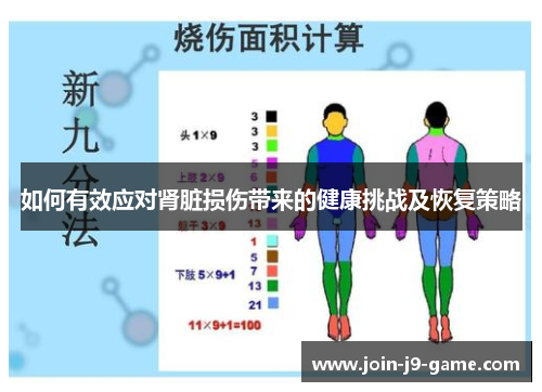 如何有效应对肾脏损伤带来的健康挑战及恢复策略