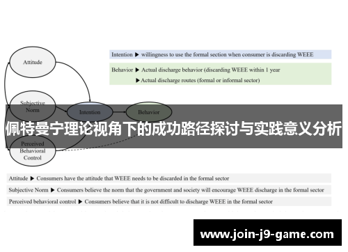 佩特曼宁理论视角下的成功路径探讨与实践意义分析