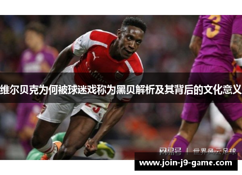 维尔贝克为何被球迷戏称为黑贝解析及其背后的文化意义