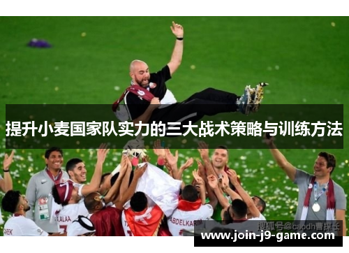 提升小麦国家队实力的三大战术策略与训练方法